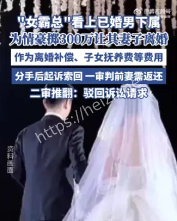 重庆女老板事件